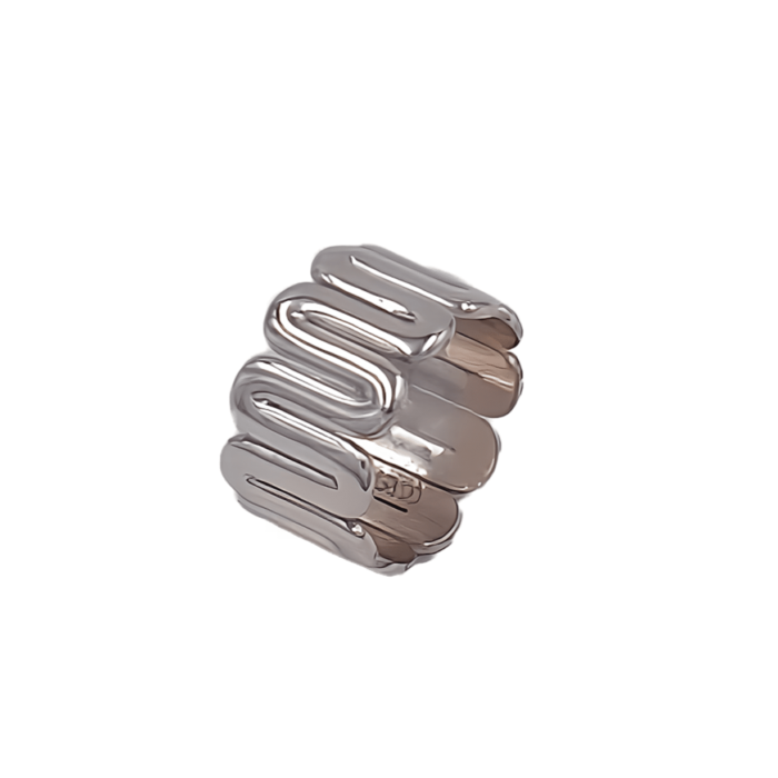 Anillo Rus - Imagen 1