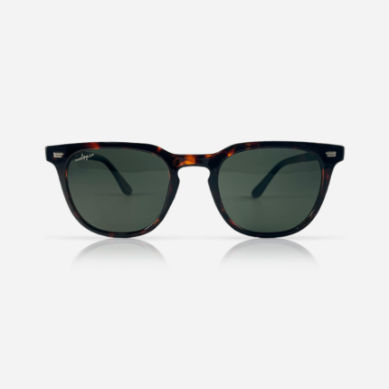 Gafas de sol Cygnus Carey - Analogica - Imagen 2