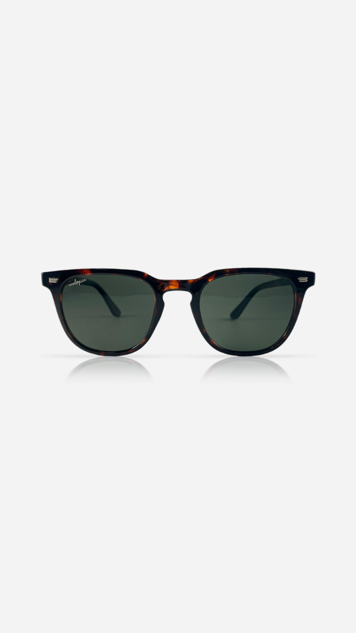 Gafas de sol Cygnus Carey - Analogica - Imagen 2