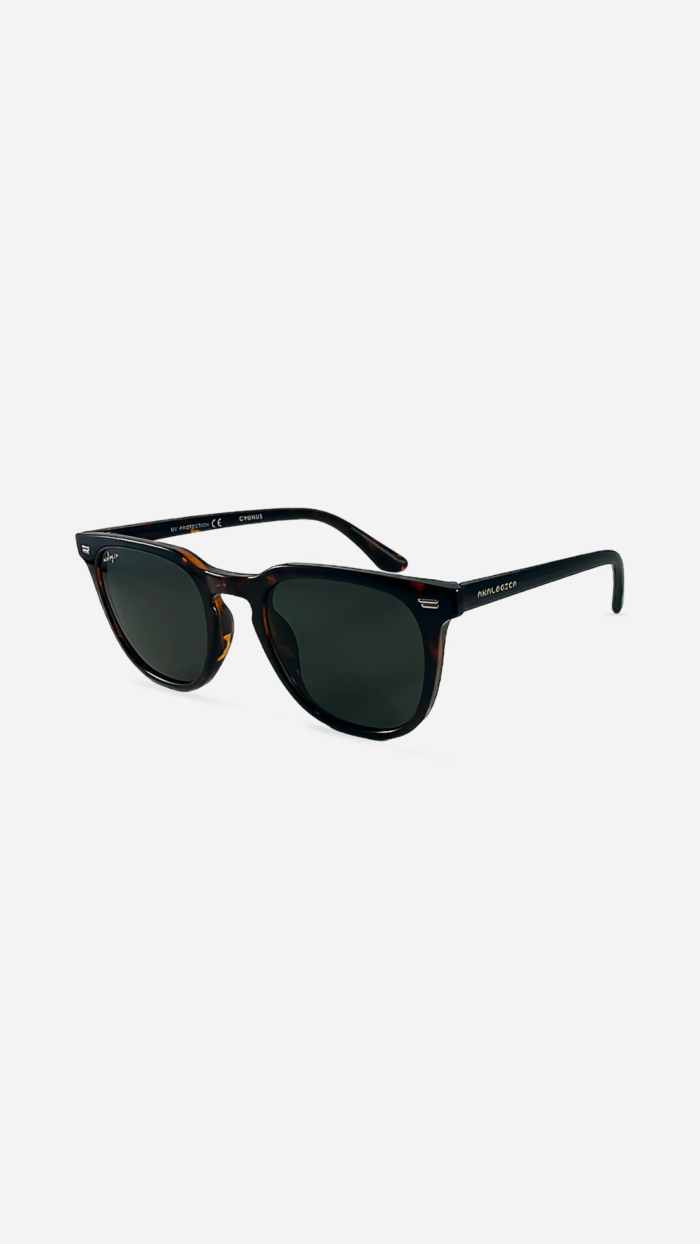 Gafas de sol Cygnus Carey - Analogica - Imagen 1